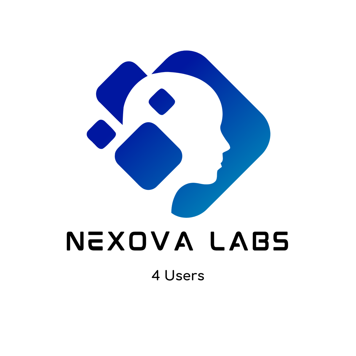 4 Users